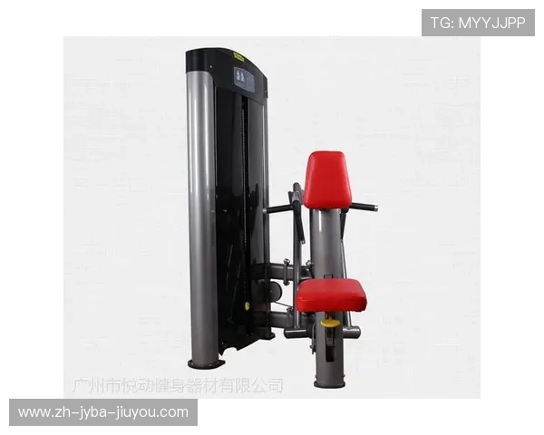 悦动健身器材:悦动品牌健身器材的创新与市场趋势 悦动健身器材:悦动品牌健身器材的创新与市场趋势